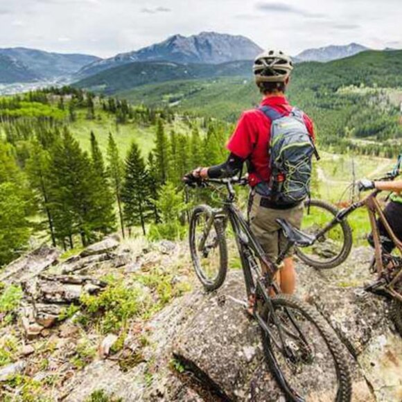 Meet your Posher, Fakieh - Picture 1 of 1